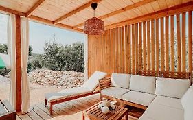 Diamond Coast Mobile Home
